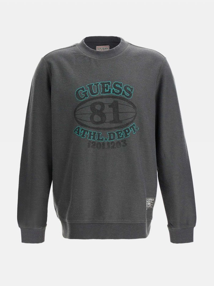 Guess Front Print Erkek Tişörtü Gri | TR-743240