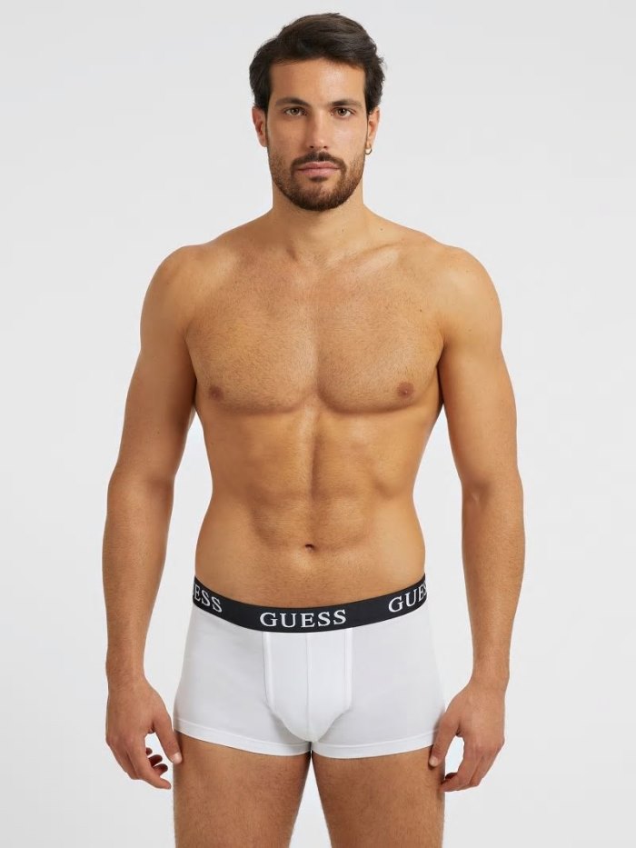 Guess Logo Pack 3 Erkek Boxers Yeşil | TR-561612